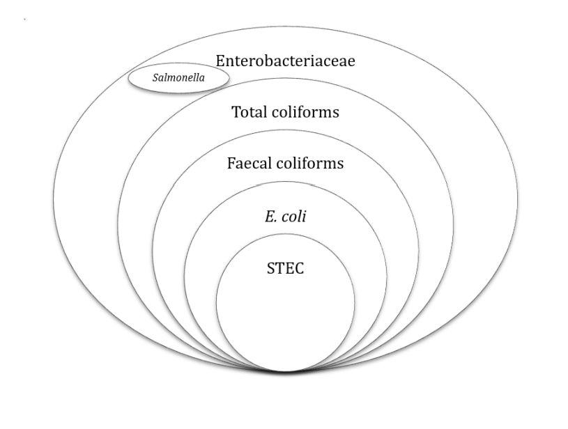 Microbiological Analysis key considerations Institute of Food